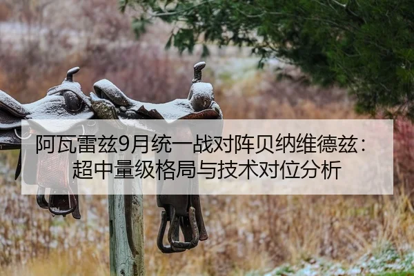 阿瓦雷兹9月统一战对阵贝纳维德兹：超中量级格局与技术对位分析